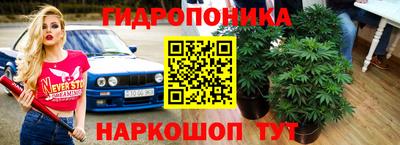 дурь Бийск
