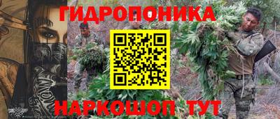 дурь Бийск