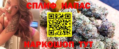 apvp Беслан