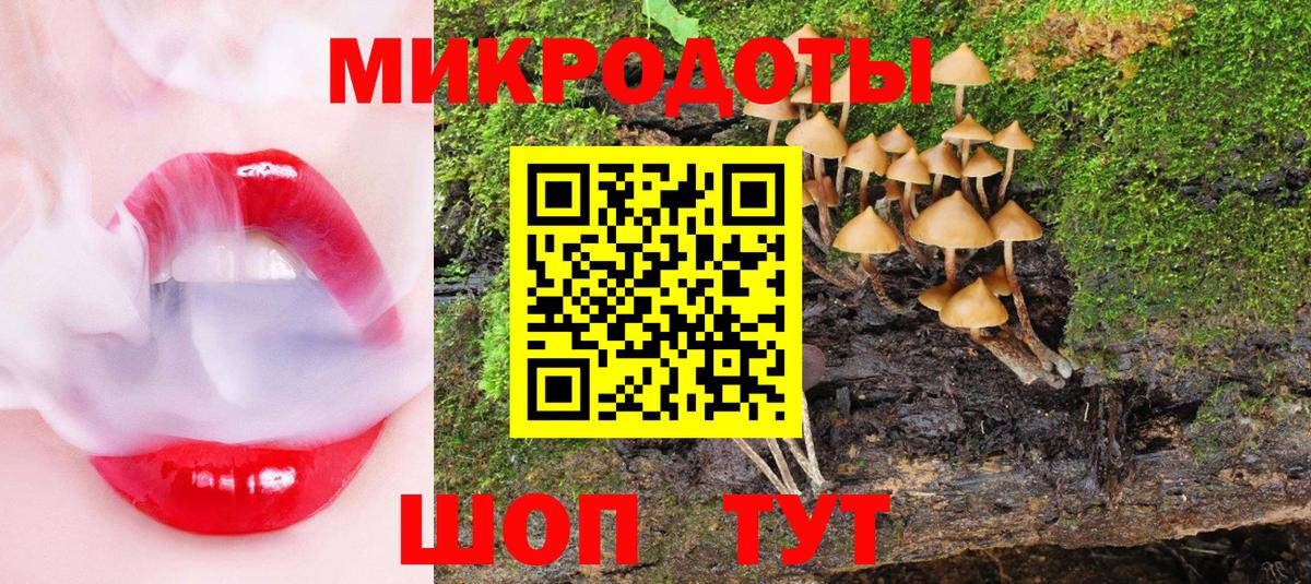 Псилоцибиновые грибы мицелий  Вход с VPN  Кизилюрт  Галлюциногенные грибы Magic Shrooms 