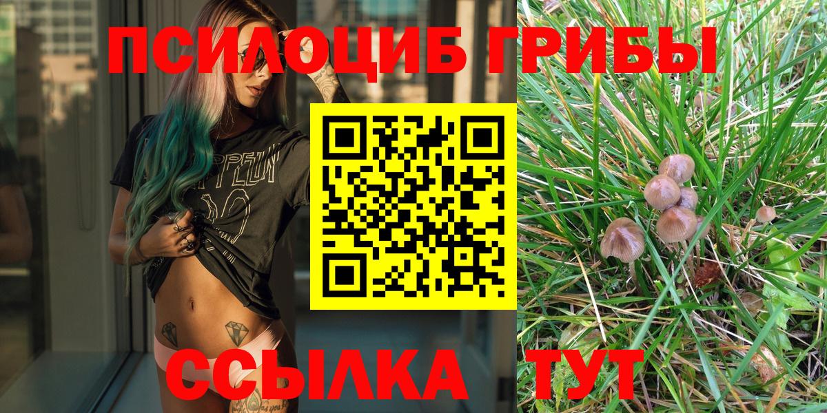 Галлюциногенные грибы мицелий Кизилюрт